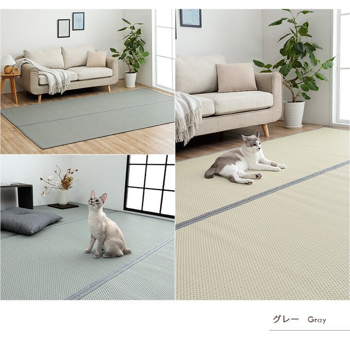 ミーサ 洗える ござ 日本製 国産 カーペット リバーシブル 丈夫 除菌