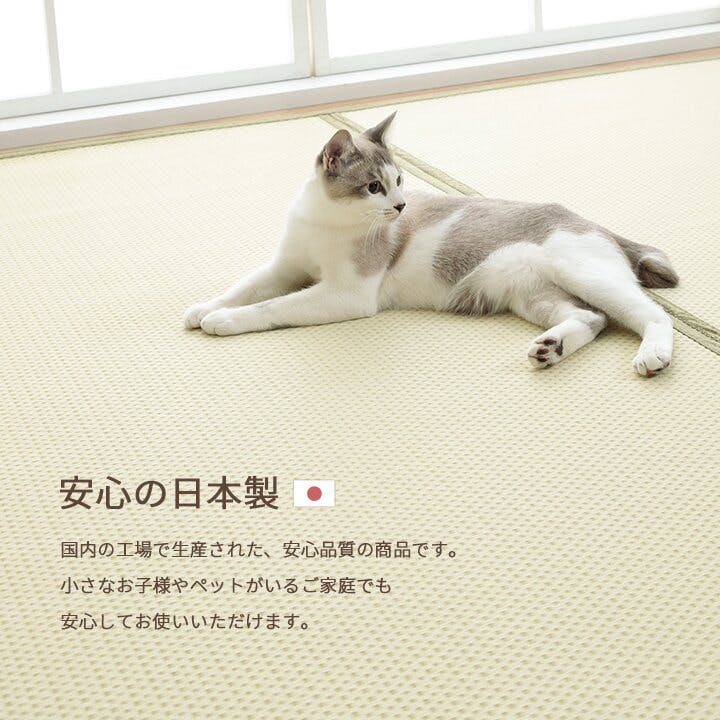 ミーサ 洗える ござ 日本製 国産 カーペット リバーシブル 丈夫 除菌