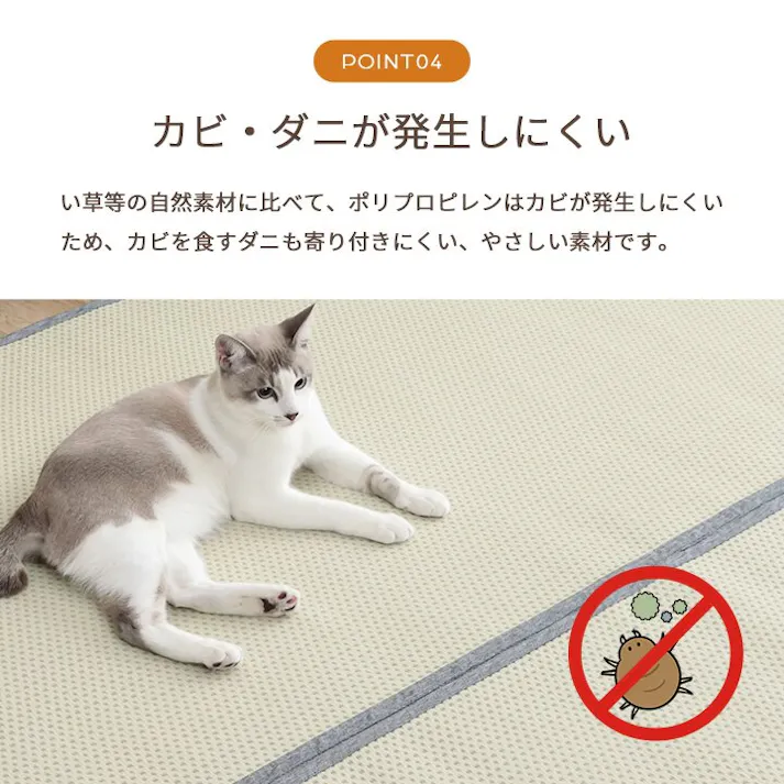 ミーサ 洗える ござ 日本製 国産 カーペット リバーシブル 丈夫 除菌スプレー対応 敷詰 ラグ 敷物 ペット ブラウン 江戸間3畳(約174×261cm) 防音対策【別送品】