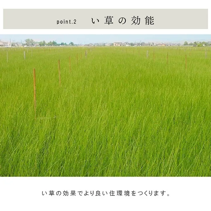 ネイラル 国産 い草 日本製 置き畳 ユニット畳 簡単 和室 3層 約70×70×1.5cm 4P 防音対策【別送品】