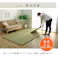 ネイラル 国産 い草 日本製 置き畳 ユニット畳 簡単 和室 4層 約70×70×3cm 9P 防音対策【別送品】