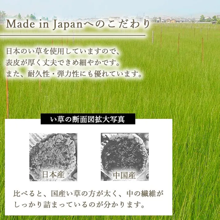 ラッカル 国産 い草 日本製 置き畳 ユニット畳 簡単 和室 ナチュラル 約82×82×1.5cm 6P 6枚組 グリーン 防音対策【別送品】