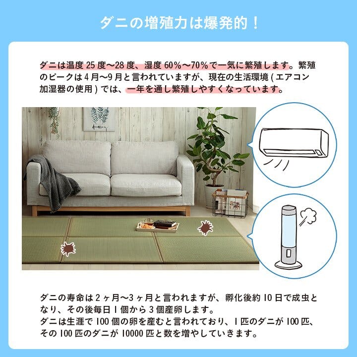 畳6枚 滅ダニ 置き畳 い草 日本製 消臭 抗菌防臭 ダニ増殖抑制 無地 約82×82