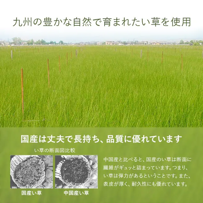 あぐら 置き畳 半畳 国産 い草 簡単 和室 ネイビー 約82×82cm 4枚組 防音対策 ジョイント 和モダン カーペット下畳【別送品】