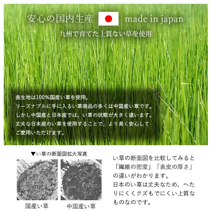 詩織 寝具 枕 平枕 い草 吸湿 調湿効果 抗菌防臭 ネイビー 50×30cm 睡眠改善 快眠グッズ【別送品】