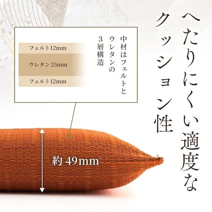 大紬 座布団 い草座布団 日本製 抗菌防臭 消臭 湿度調整 蒸れにくい 涼しい モダン 無地 ブラック 2枚組 55×55cm リビングインテリア 快適アイテム 和モダンインテリア【別送品】