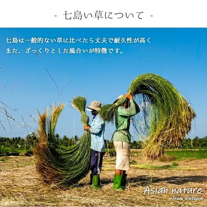 ルーチェ スリッパ 箱付七島い草 ベトナム製 ギフト シンプル ブルー M(適応サイズ22.5~25cm)【別送品】