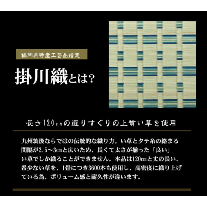 雲仙 掛川織 い草カーペット ベージュ 江戸間3畳(約174×261cm) 防音対策【別送品】