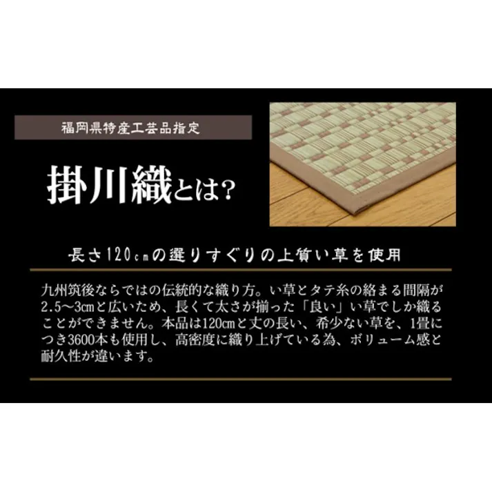 奥丹後 純国産 掛川織 い草カーペット ベージュ 本間8畳(約382×382cm) 防音対策【別送品】