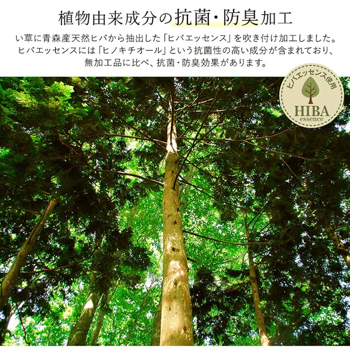 ソリッド ラグ い草 国産 純国産 日本製 シンプル 無地風 抗菌防臭 自然素材 ウレタン ダークブラウン 約191×191cm 防音対策【別送品】