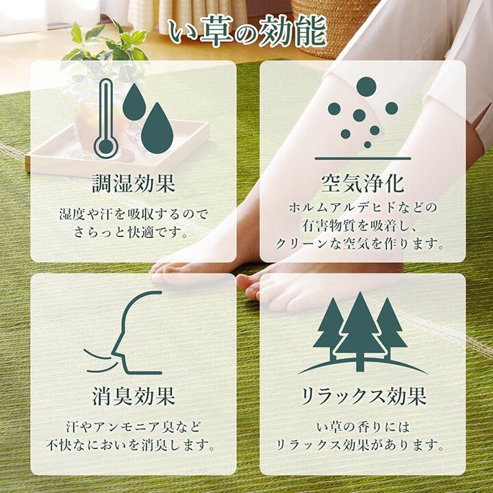 ソリッド ラグ い草 国産 純国産 日本製 シンプル 無地風 抗菌防臭