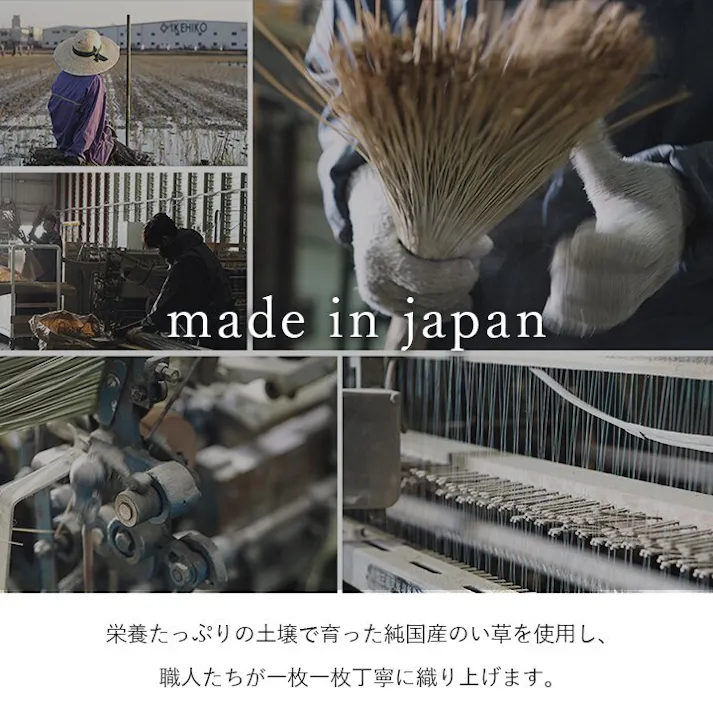 ブロック 国産 い草ラグ カーペット 調 トレンド スタイリッシュ おすすめ シンプル クッション性 グレー 約140×200cm 防音対策 市松柄 ジョイント可能 和モダン【別送品】