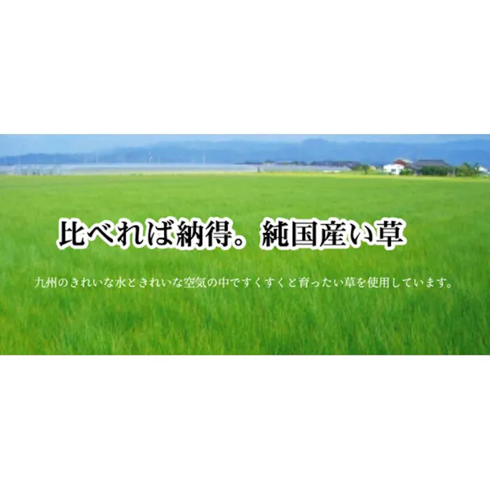 FUBUKI 純国産 い草花ござ グリーン 江戸間6畳(約261×352cm) 防音対策【別送品】
