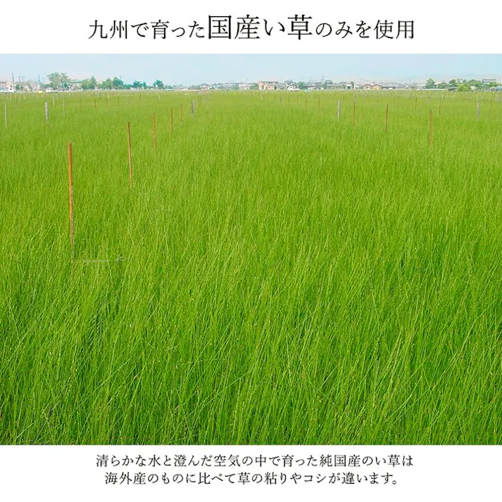 京刺子 ラグ い草 国産 純国産 日本製 モダン 抗菌防臭 自然素材 パッチワーク 不織布 ブルー 約191×250cm 防音対策【別送品】