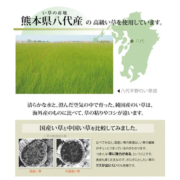 清正 純国産 い草 上敷き カーペット 麻綿織 江戸間4.5畳(約261×261cm) 熊本県八代産イ草使用 防音対策【別送品】