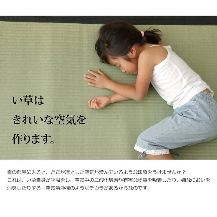 清正 純国産 い草 上敷き カーペット 麻綿織 江戸間4.5畳(約261×261cm) 熊本県八代産イ草使用 防音対策【別送品】