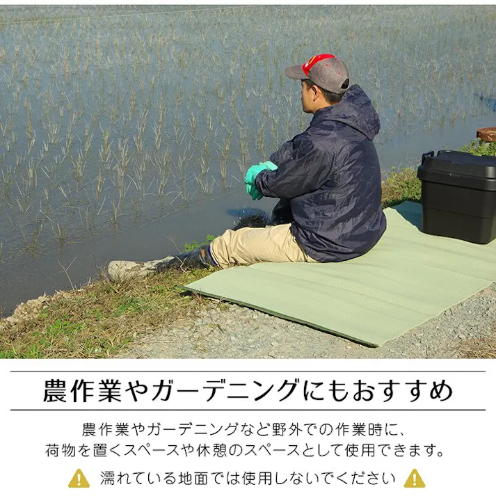 ファーム ラグ 洗える 日本製 国産 アウトドア レジャー アウトドア 和室 シンプル ベージュ 江戸間8畳(約348×352cm) 防音対策【別送品】