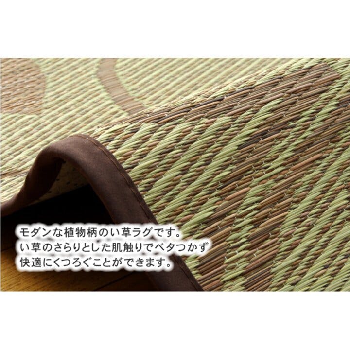 プラハ リーフ柄 い草ラグカーペット 『NS』 ブラウン 約191×191cm (裏