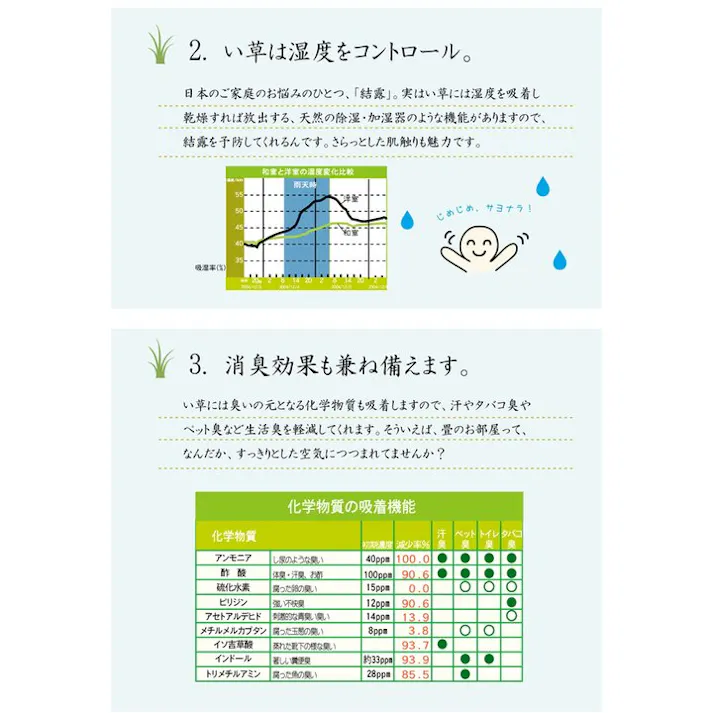 オーディーン 純国産 い草ラグカーペット オリエンタル柄 『DX』 グリーン 約191×250cm 防音対策【別送品】