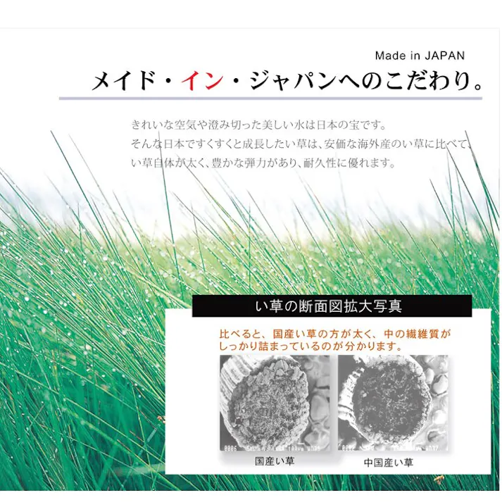 Fナール い草ラグ トレンド スタイリッシュ 国産 カーペット シンプル ブラウン 約191×191cm 防音対策【別送品】