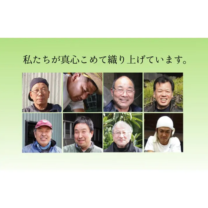 アシック 純国産 い草花ござカーペット グリーン 江戸間4.5畳(約261×261cm) 防音対策【別送品】