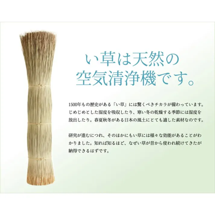 楽座 置き畳 ユニット畳 88×88×2.2cm(2枚1セット) 防音対策【別送品】
