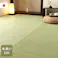 五木 洗える ござ 日本製 国産 カーペット 丈夫 除菌スプレー対応 敷詰 ラグ 敷物 ペット 無地 グリーン 江戸間4.5畳(約261×261cm) 防音対策【別送品】
