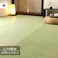 五木 洗える ござ 日本製 国産 カーペット 丈夫 除菌スプレー対応 敷詰 ラグ 敷物 ペット 無地 グリーン 江戸間6畳(約261×352cm) 防音対策【別送品】