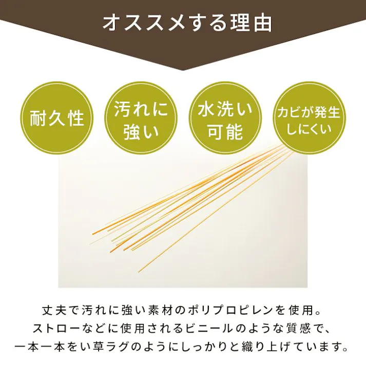 五木 洗える ござ 日本製 国産 カーペット 丈夫 除菌スプレー対応 敷詰 ラグ 敷物 ペット 無地 グリーン 江戸間6畳(約261×352cm) 防音対策【別送品】