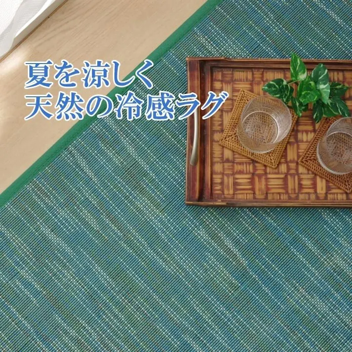 フォース ラグ カーペット 無地 シンプル バンブー 竹 『DX』 ネイビー 約140×200cm 防音対策【別送品】