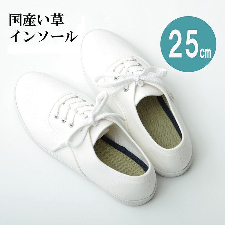 IKEHIKO い草インソール インソール レディース 消臭 抗菌 ネイビー 約25cm 4956642731344 インソール IKEHIKO い草インソール インソール レディース 消臭 抗菌 ネイビー 約25cm 4956642731344 インソール
