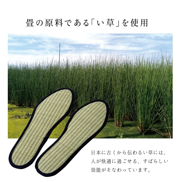 い草インソール インソール レディース 消臭 抗菌 ネイビー 約25cm【別送品】