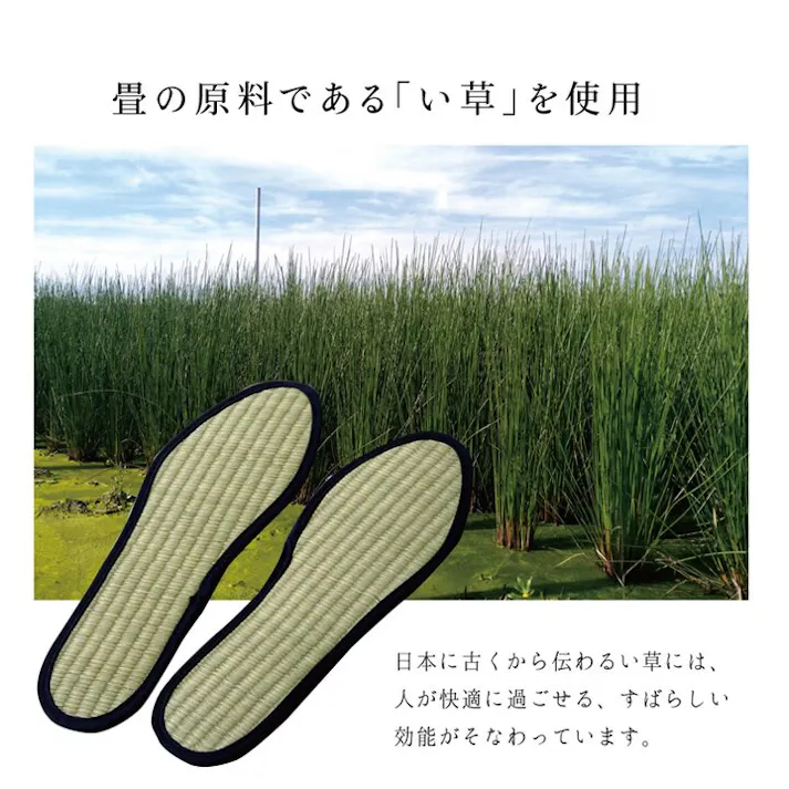 い草インソール インソール メンズ 消臭 抗菌 ネイビー 約26cm【別送品】