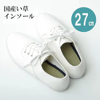 い草インソール インソール メンズ 消臭 抗菌 ネイビー 約27cm【別送品】