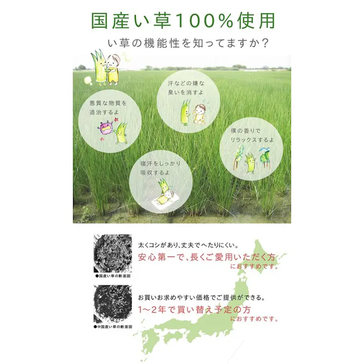 市松和紋 ラグ 国産 い草 カーペット ふっくら ボリューム 『F』 ブルー 約191×191cm 防音対策 夏用 涼しい 和モダン【別送品】