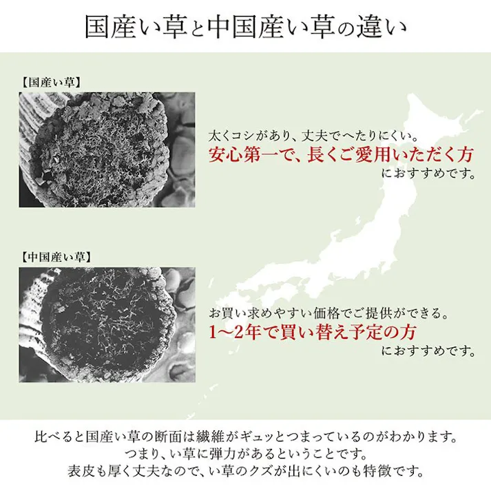 ランクス ラグ 国産 純国産 日本製 い草 モダン 抗菌防臭 自然素材 ネイビー 約191×191cm 防音対策 モダン リビング 夏用涼しい【別送品】