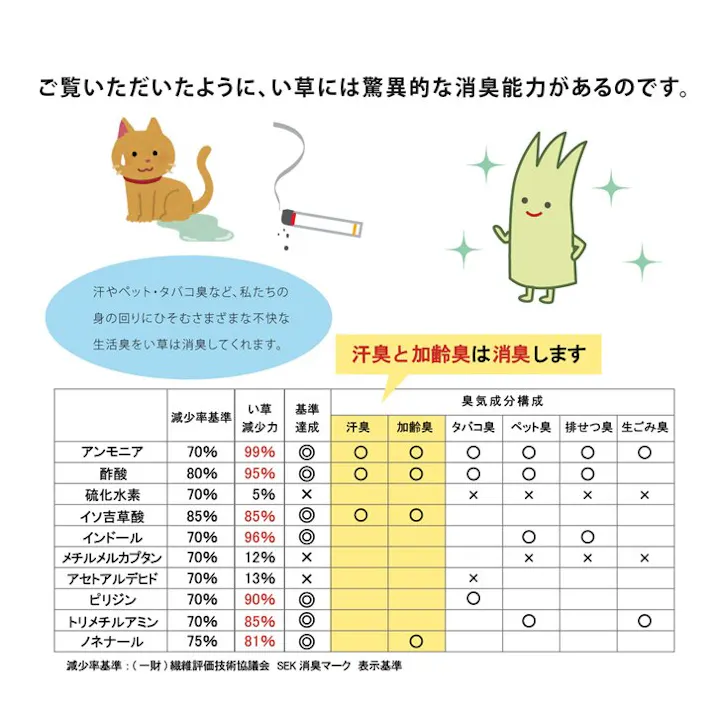 い草インソール インソール レディース 消臭 抗菌 ネイビー 約23cm【別送品】