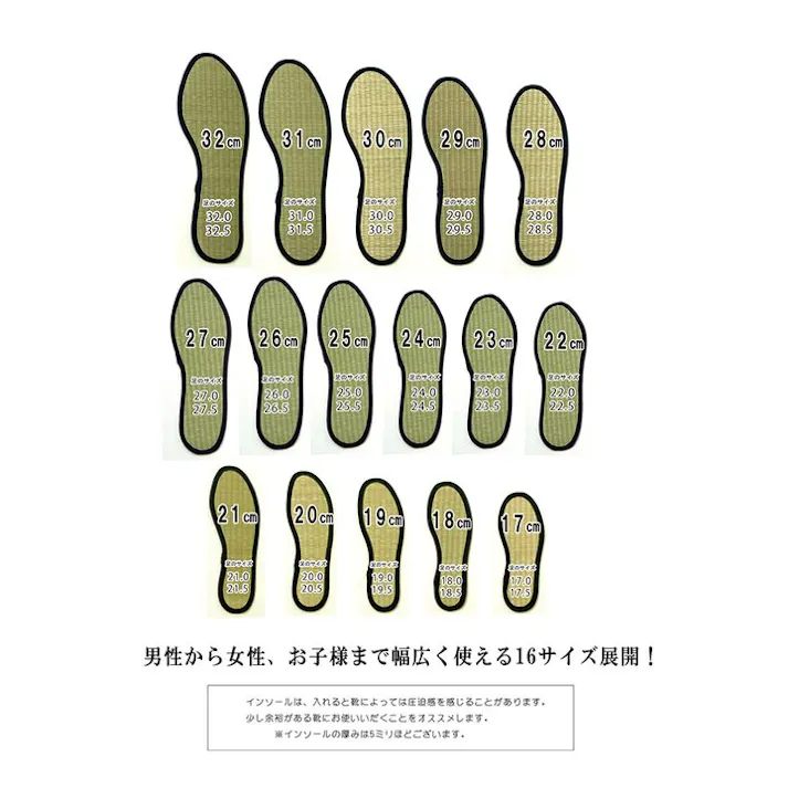 い草インソール インソール レディース 消臭 抗菌 ネイビー 約23cm【別送品】