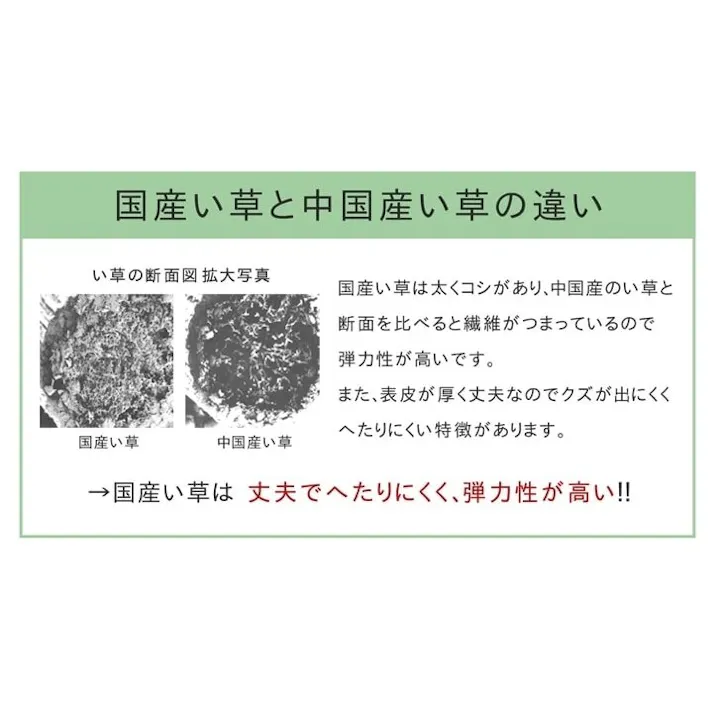 ウォール い草ラグ トレンド スタイリッシュ 国産 カーペット 『F』 約140×200cm 防音対策【別送品】
