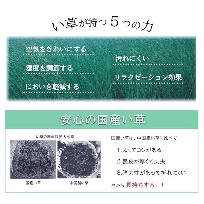 サークル ラグ 正方形 夏用 ふっくら い草 ネイビー 191×191cm 防音対策【別送品】