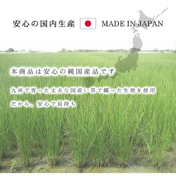 モーニング ラグ 正方形 夏用 い草 シンプル ベージュ 191×191cm 防音対策【別送品】