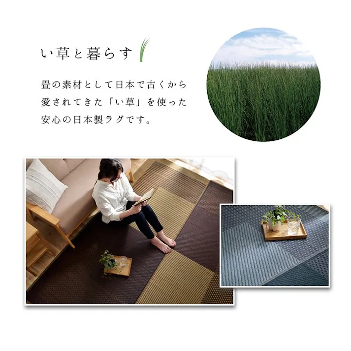 モーニング ラグ 長方形 夏用 い草 シンプル ネイビー 191×250cm 防音対策【別送品】