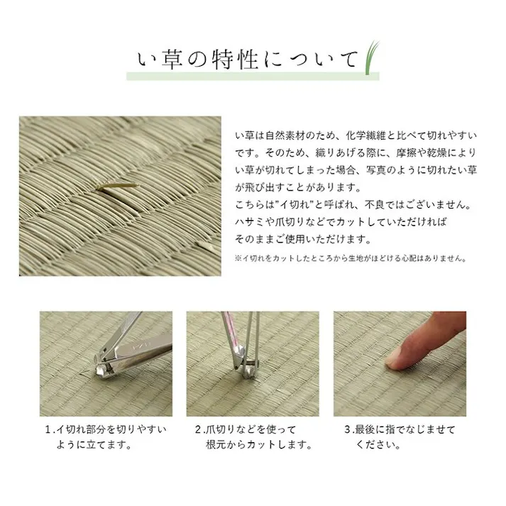 モーニング ラグ 正方形 夏用 ふっくら い草 シンプル ネイビー 191×191cm 防音対策【別送品】