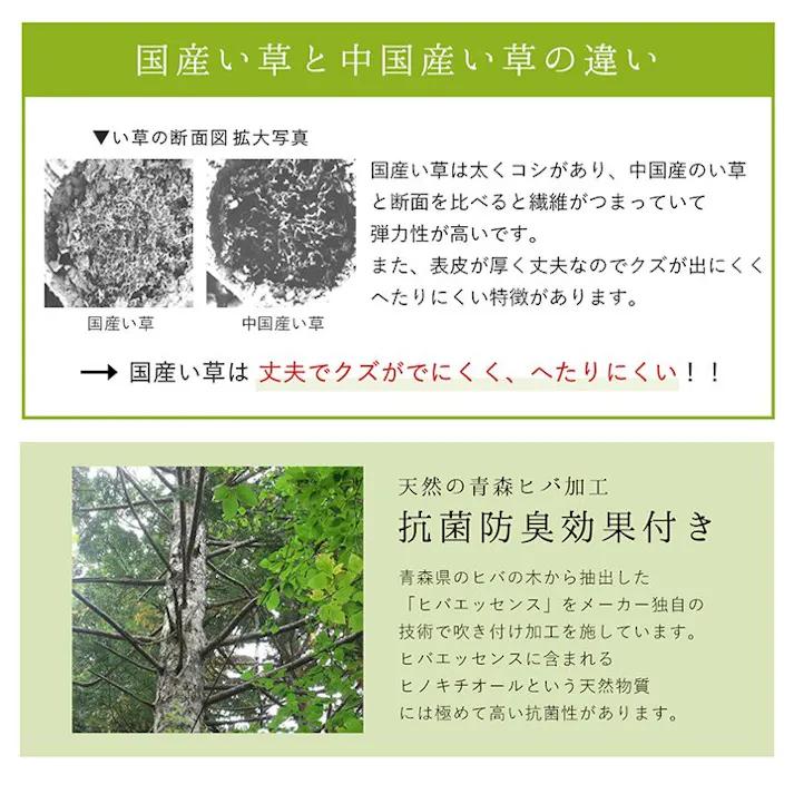 モーニング ラグ 長方形 夏用 ふっくら い草 シンプル ネイビー 191×250cm 防音対策【別送品】