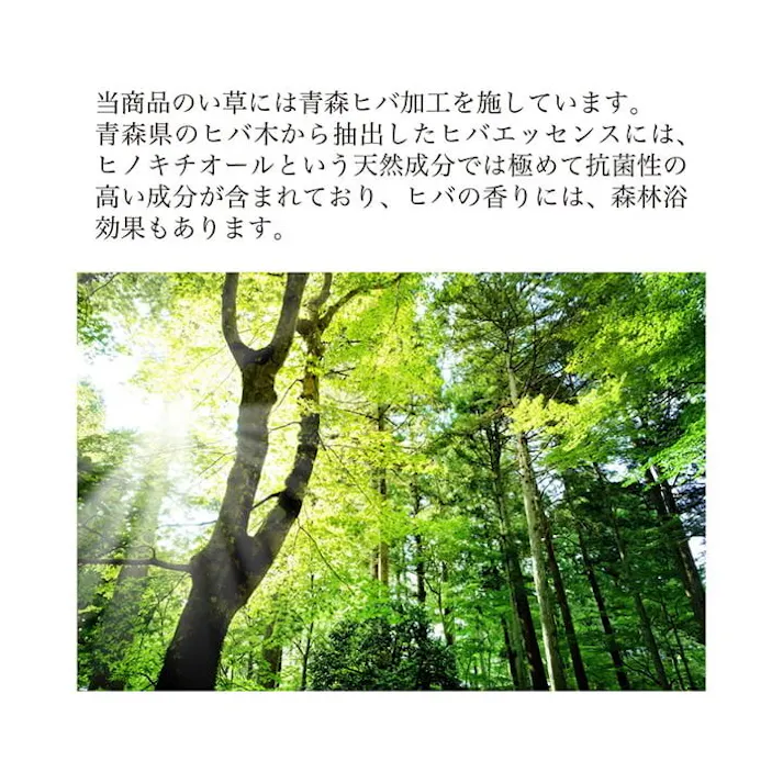 堀炬燵敷きピア 堀こたつ 掘りごたつ 堀り 炬燵 い草 ラグ 敷 市松 くり抜き マジックテープ 連結 裏 不織布 ベージュ 約191×250cm(中抜き:約90×120cm) 防音対策 4956642802020【別送品】