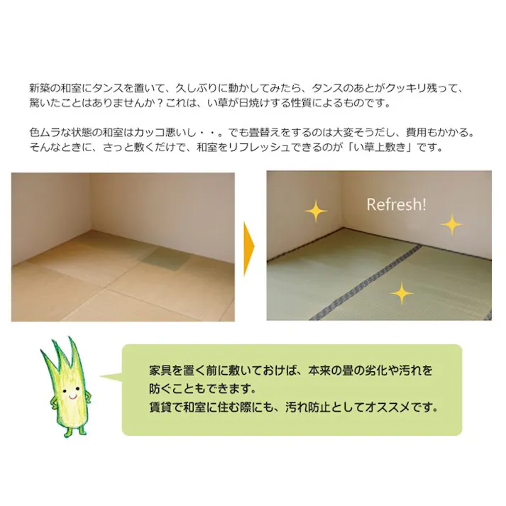 柿田川 純国産 い草 上敷き カーペット 糸引織 江戸間2畳(約176×176cm) 防音対策【別送品】