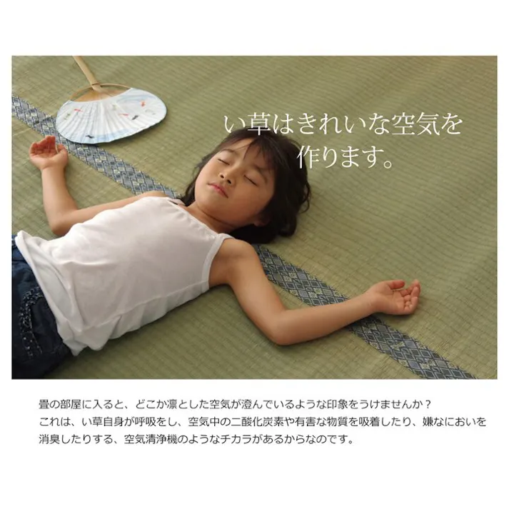 柿田川 純国産 い草 上敷き カーペット 糸引織 江戸間8畳(約352×352cm) 防音対策【別送品】