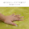 オールシーズン ウェンデル 無地 カーペット グリーン 200×250cm【別送品】