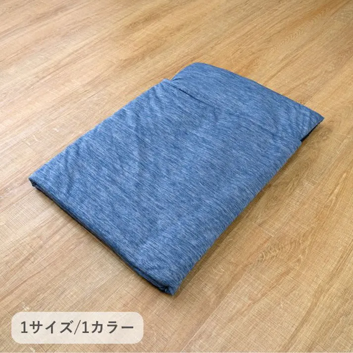 IKEHIKO イケヒコ アクア ネイビー 50×70cm 1250071190203 カーペット ペット アウトドア PP 4550317050367【別送品】
