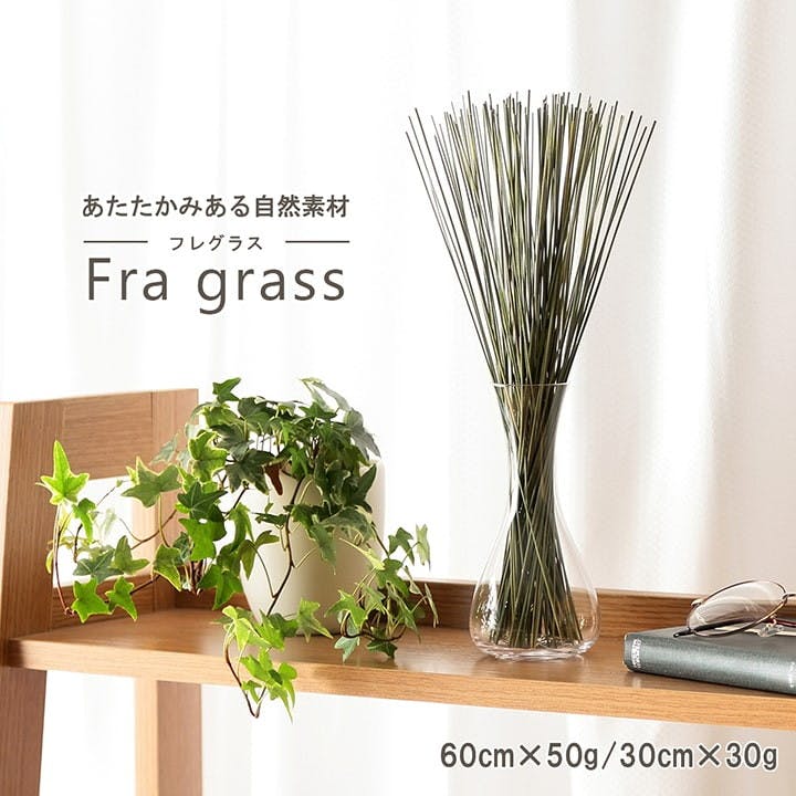 ݂炢 60cm×50g 1370090010904 u  OE|O